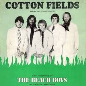 Cotton Fields - The Beach Boys